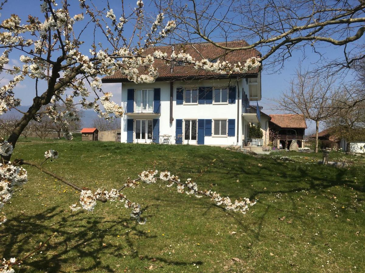 B&B Domaine En Trembley Commugny Exterior foto