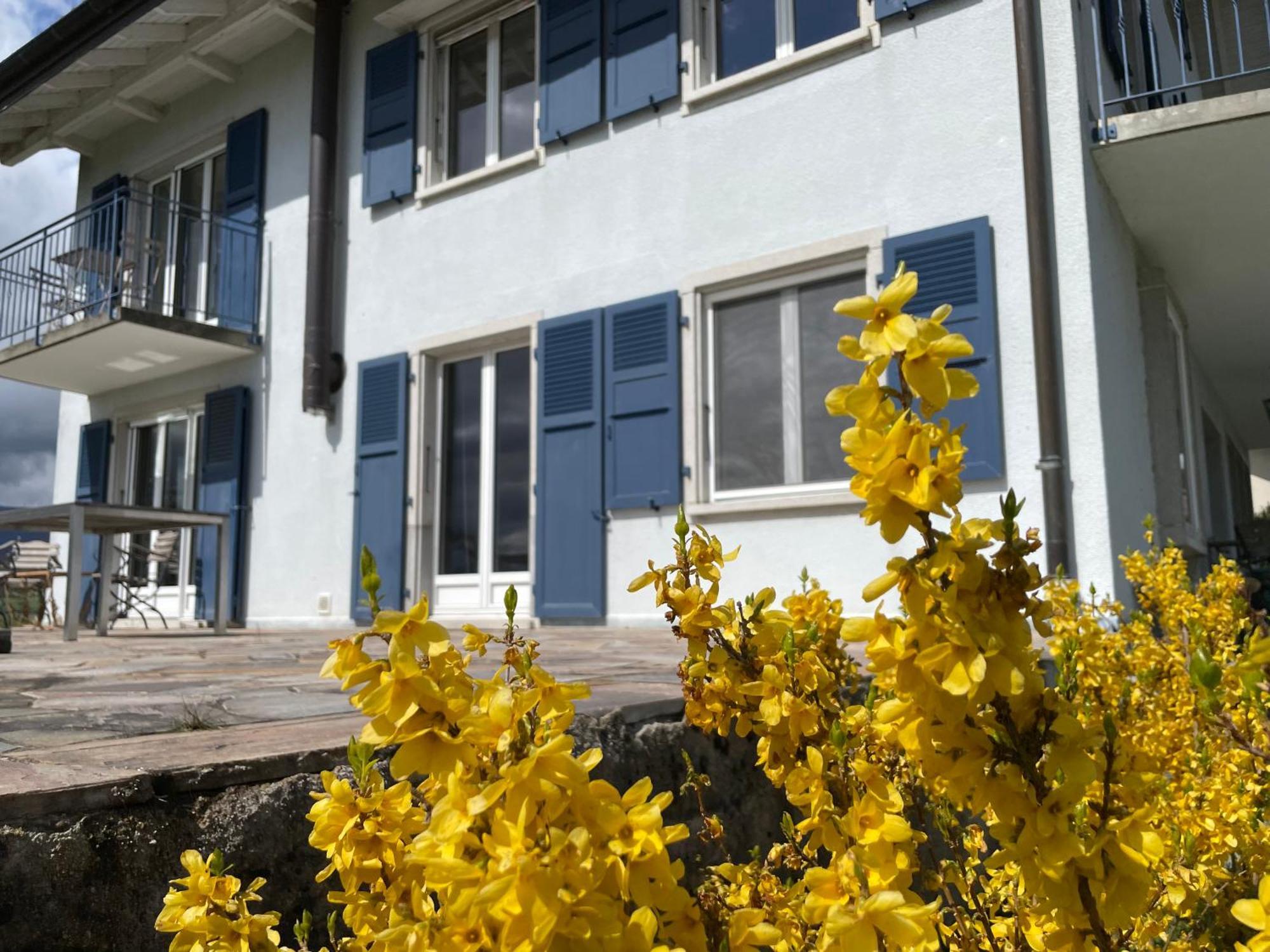 B&B Domaine En Trembley Commugny Exterior foto