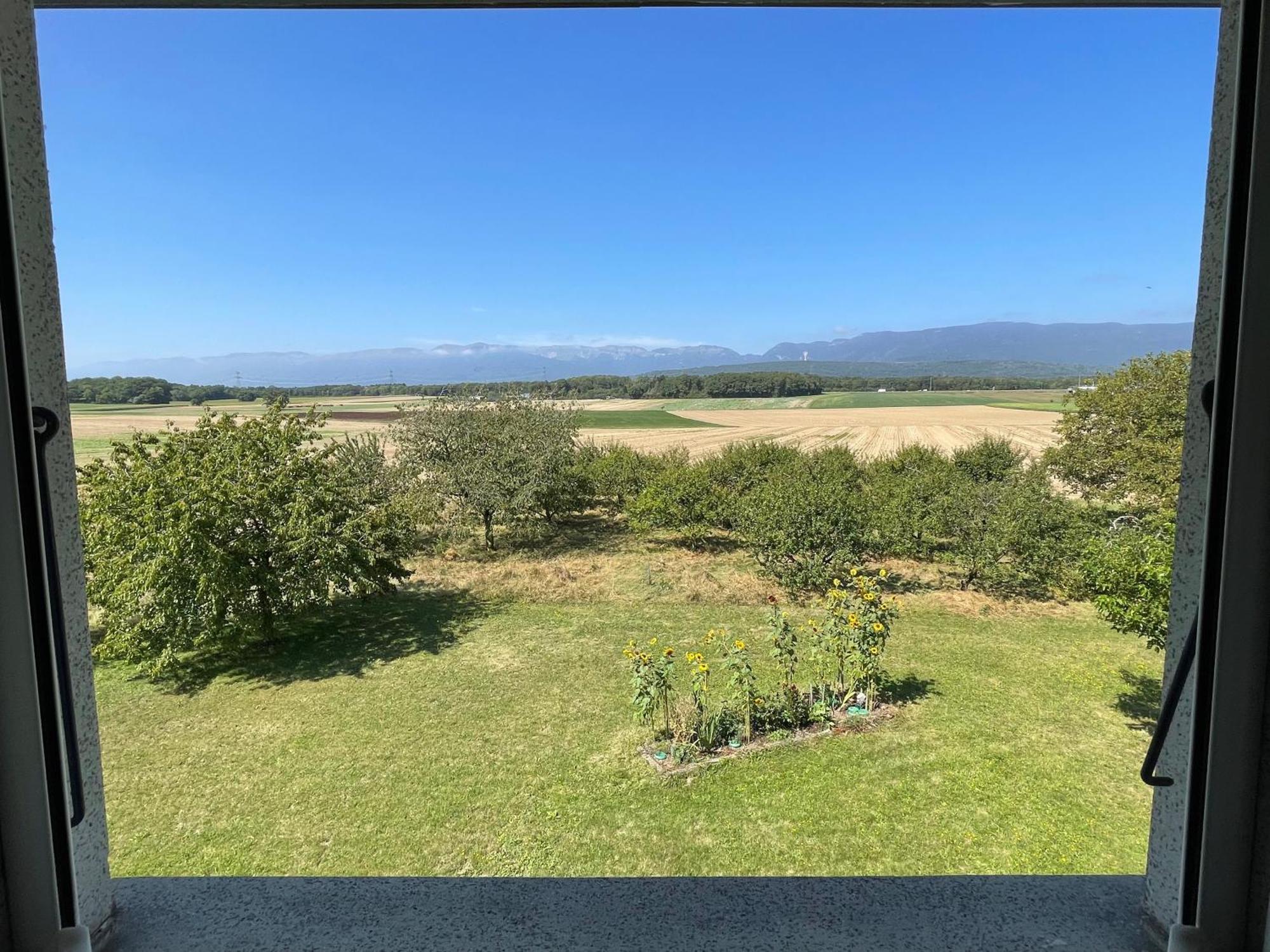 B&B Domaine En Trembley Commugny Exterior foto