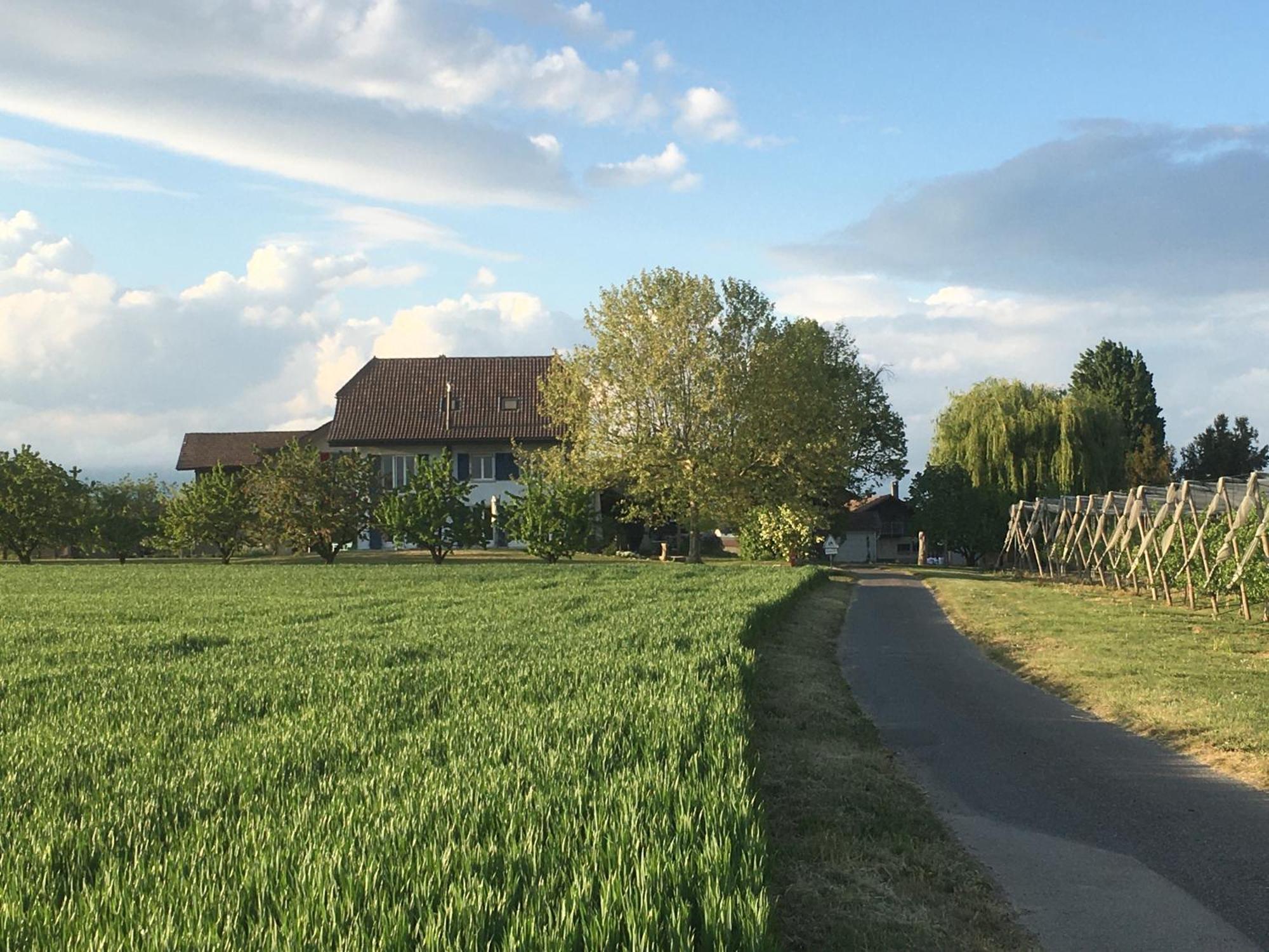 B&B Domaine En Trembley Commugny Exterior foto