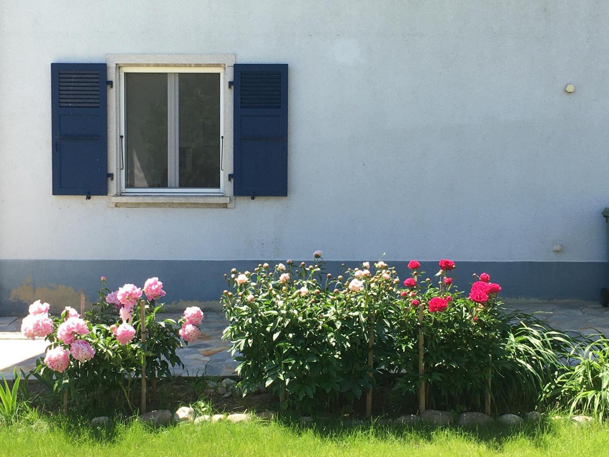 B&B Domaine En Trembley Commugny Exterior foto