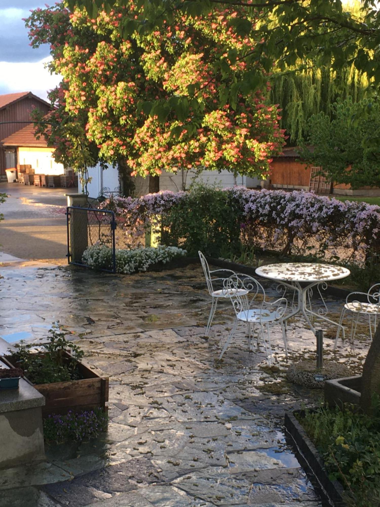 B&B Domaine En Trembley Commugny Exterior foto