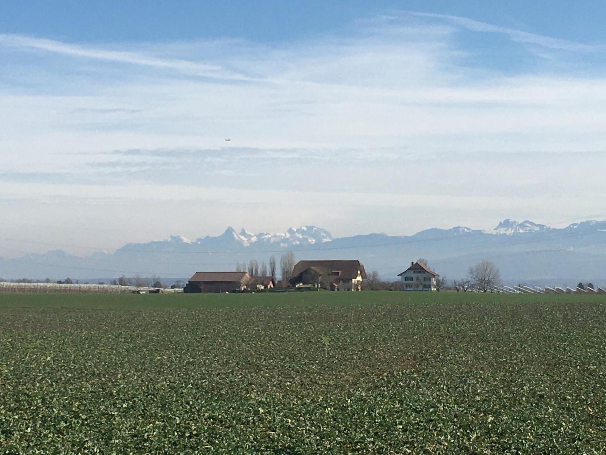 B&B Domaine En Trembley Commugny Exterior foto
