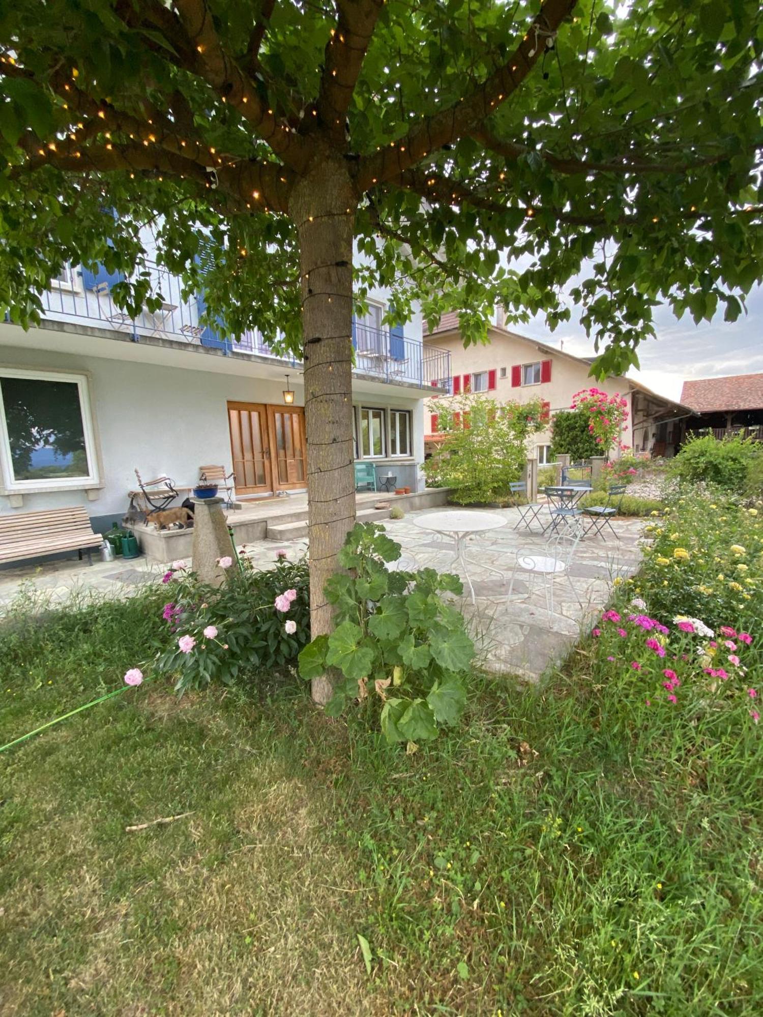 B&B Domaine En Trembley Commugny Exterior foto